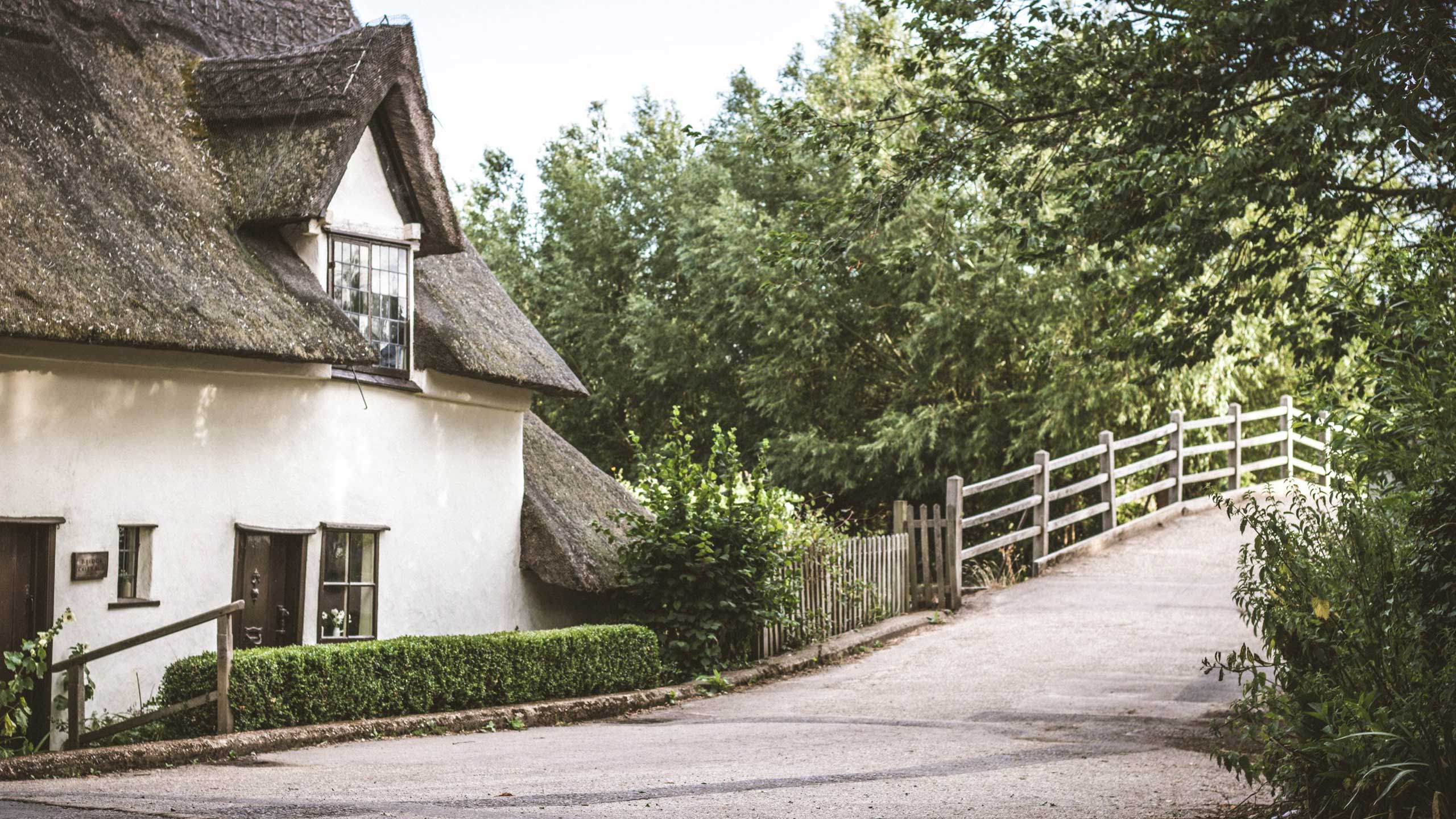 What does conservation area mean