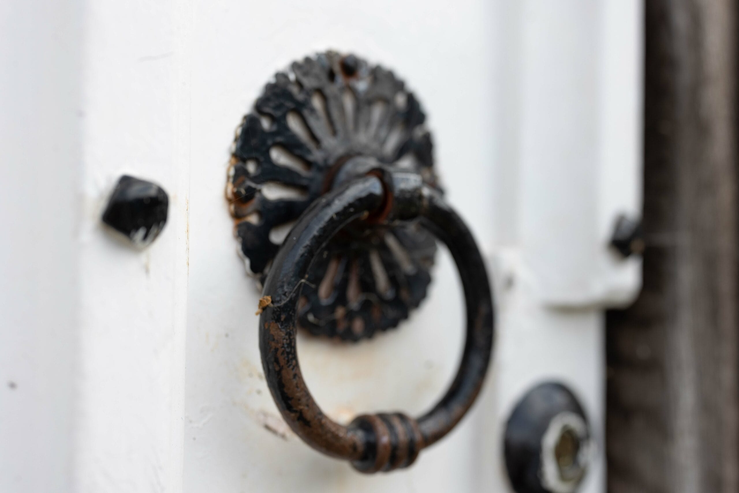 permitted development in conservation areas guide: image of grade door